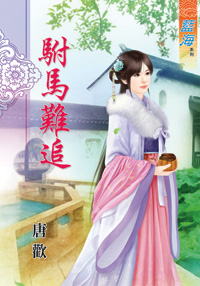 驸马难追