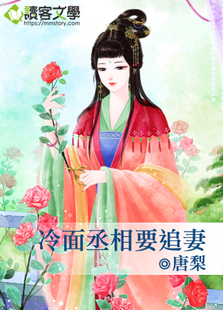 冷面丞相要追妻